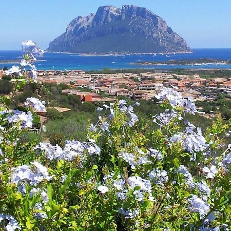 Le Case Del Mare Porto San Paolo  Exteriör bild