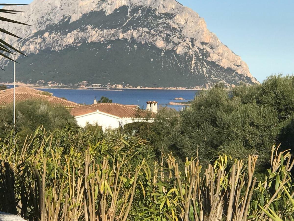 Le Case Del Mare Porto San Paolo  Exteriör bild