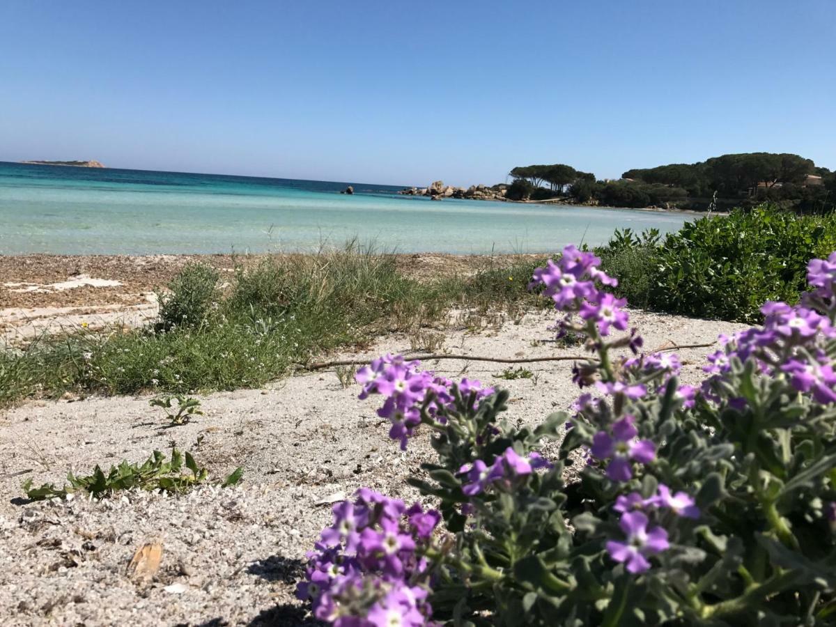 Le Case Del Mare Porto San Paolo  Exteriör bild